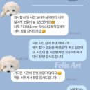 프랑스자수와 인형 | 말티즈 펫로스 위로 선물, 무지개다리 건넌 반려견 닮은 인형 아트돌 전신 완성