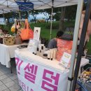 스마일인셀덤