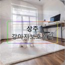 아름다운동물병원 | 상주 강아지보호센터 유기동물봉사 준비부터 후기까지 완벽 가이드