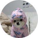 돼지새마을운동 - 수원시 권선구 하탑로 42 | 역대급 뒷고기 쫀득살과 남도 묵은지의 만남! '돼지골목길' 광주 광산구 신창동 찐단골 노포 맛집...