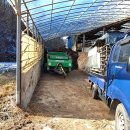 한우축사 이미지