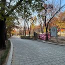 서울문교초등학교 이미지