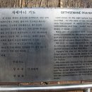 겟세마니 동산 이미지