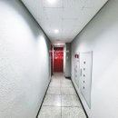 H1589 네이버블로그