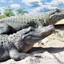 백용농장 이미지