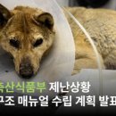 한국재난안전정보협회 이미지