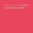 저는 많이 보고 있어요 - 안미영 시집 / 문학동네 이미지