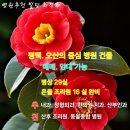 메디컬빌딩 이미지
