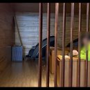 하이엔드 휘트니스 연수 | 연수동헬스장 찾는다면! PT부터 스피닝,GX,스크린골프까지 가능한 하이엔드휘트니스 연수점