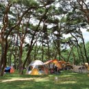 행복숲체험원오토캠핑장 이미지