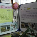 우성댓잎 이미지