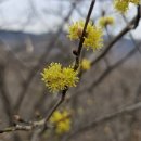 진해 웅산 장복산 이미지