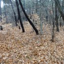 깃대봉(204m).왕영산(376m).약산(378m).새까만등(221m).잠룡산(343m)/달성논공 이미지