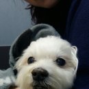 무지개다리 이미지