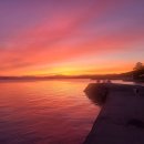 조례영무예다음경로당 | 조례주상복합 송천부동산과 함께한 안심 거래 후기