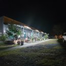 소나무농원 캠핑장 이미지