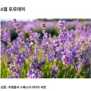 로로7 이미지