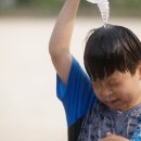 수락초교 Daum카페