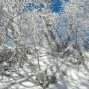 국망봉자연휴양림 이미지