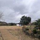 나영목장 | 제주 아이와 함께, 강아지와 함께 가기 좋은 아침미소목장