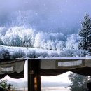 다기쁨카페 이미지