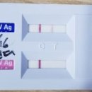 마송동물병원 이미지