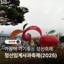 임계사통팔달시장 | 2025년 정선임계사과 축제 다녀온 후기