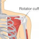 전주정형외과의원 이미지