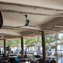 연사랑 목장 | 나트랑 판랑투어 솔직 후기