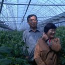 바른농장 이미지