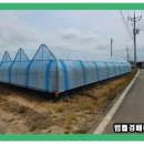 녹전1동 네이버블로그