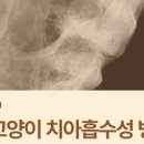 녹번동물병원