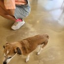 준독라운지 네이버블로그