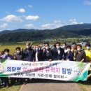 수촌리 고분군 이미지