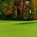 TM골프클럽 이미지