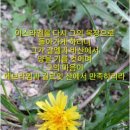 갈멜목장 이미지