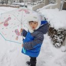 더하얀세상 이미지