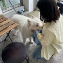 삼덕마루 | 🍃4월 여남은 일상