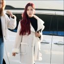 다영 카카오 검색결과