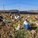 재단법인 익산푸드통합지원센터 | 익산푸드통합지원센터, 지역 우수농산물 글로벌 시장 진입