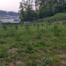 지전농장 이미지