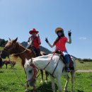 고성목장 이미지