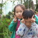 가서농장 이미지