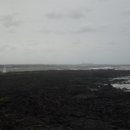 와하하게스트하우스 이미지