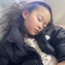 P.T의 신 | 아이와 일본여행 인천공항 상황 T로밍 혜택 타고가요캐리어