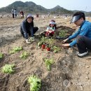 김영배농장 이미지