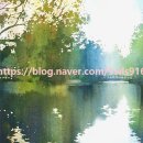 정밀화와 수채화 이미지