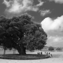 숲으로1 모텔 이미지