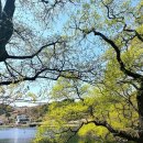 남산반곡지 | [주말 나들이] 사계절 사진 찍기 좋은 반곡지❤️