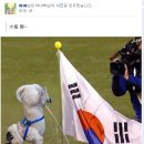 합성베이스볼 이미지